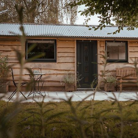 Rose Hideaway - Forest Of Dean Cosy Cabin Retreat Yorkley Exteriör bild