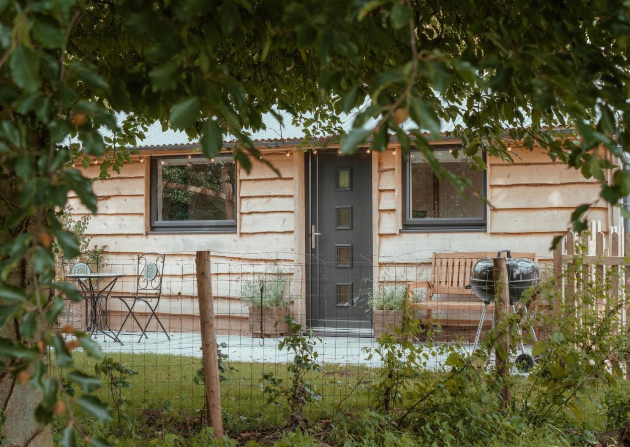 Rose Hideaway - Forest Of Dean Cosy Cabin Retreat Yorkley Exteriör bild
